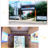 asiagame（广西）“智慧康养树模工业园基地”完工开放